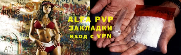 ПСИЛОЦИБИНОВЫЕ ГРИБЫ Всеволожск